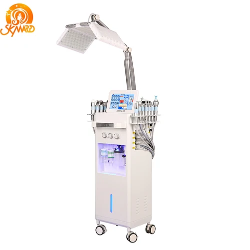 13 in 1 Hydra Facial Machines For Skin Care China Supplier